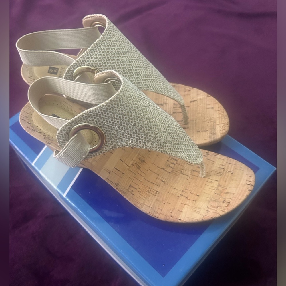 Aida Gold Glitter Cork Thong Wedge Sandal Size 9